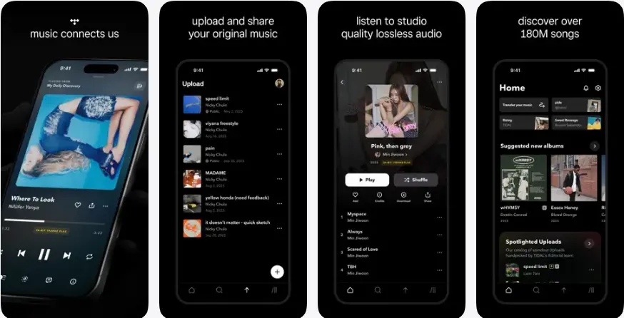 4. TIDAL